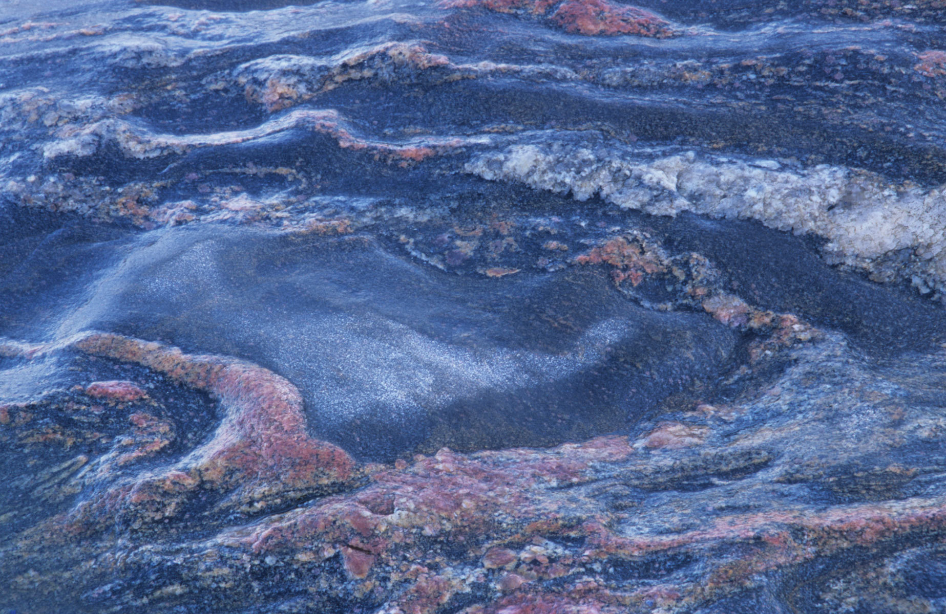 Blue Lava : Abstractions : Fine Art Photography beauty in nature, abstract design, flowers, seasons for licensing or purchase