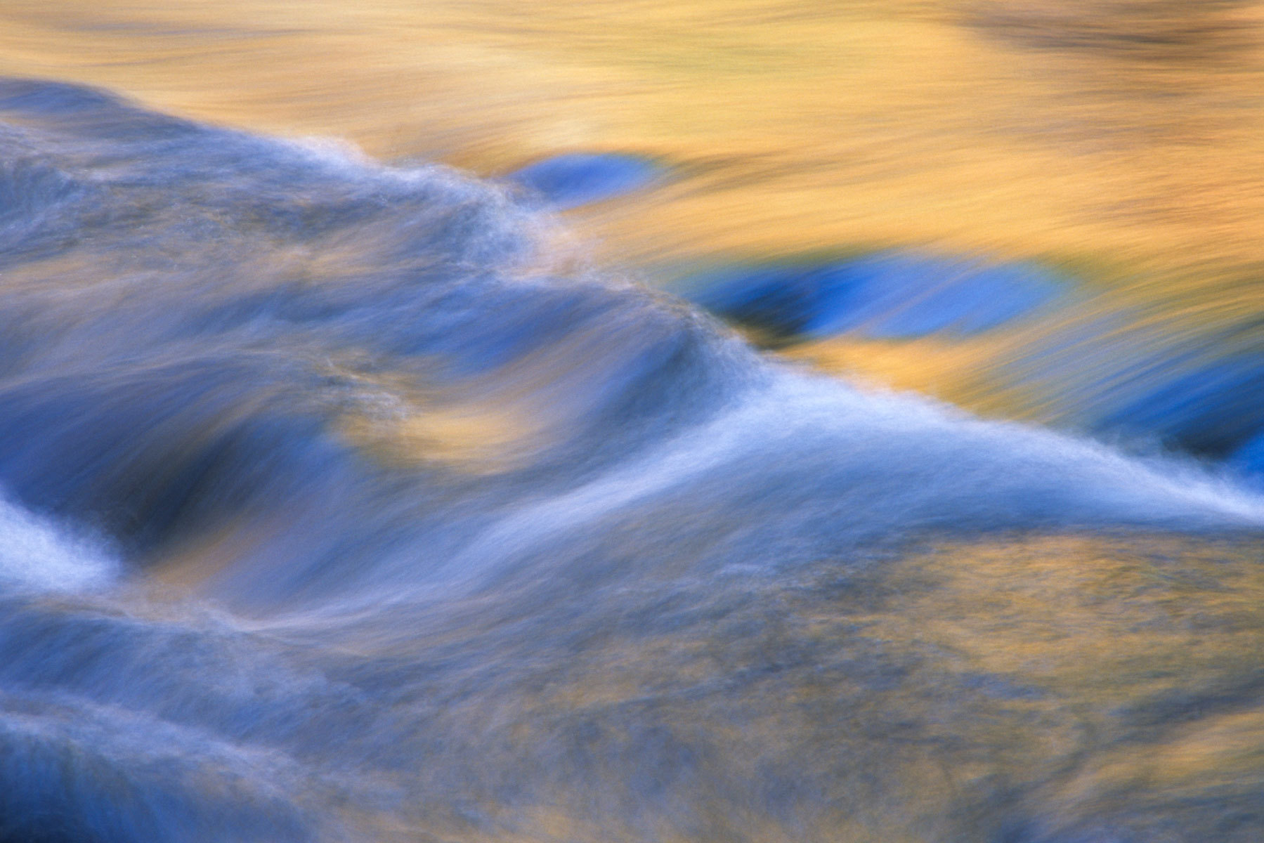 Blue Gold Flow : Abstractions : Fine Art Photography beauty in nature, abstract design, flowers, seasons for licensing or purchase