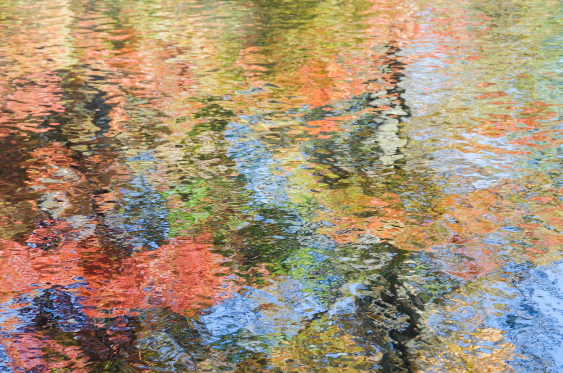 Vibrance : Abstractions : Fine Art Photography beauty in nature, abstract design, flowers, seasons for licensing or purchase