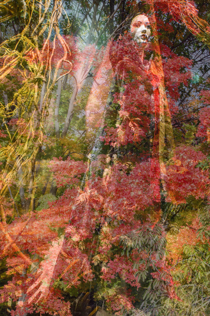 Woman in the Woods I : Fine Art: As In My Dreams : Fine Art Photography beauty in nature, abstract design, flowers, seasons for licensing or purchase