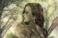 In the Spring Woods I