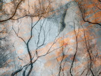 Fine Art: As In My Dreams